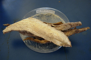 tac-dung-cua-cay-dinh-lang-11