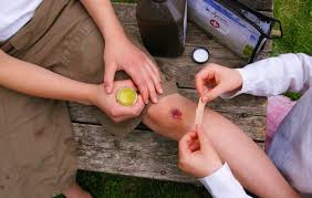 tac-dung-cua-cay-cho-de-3