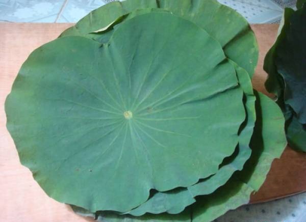 Gan-nhiem-mo-nen-an-gi-9