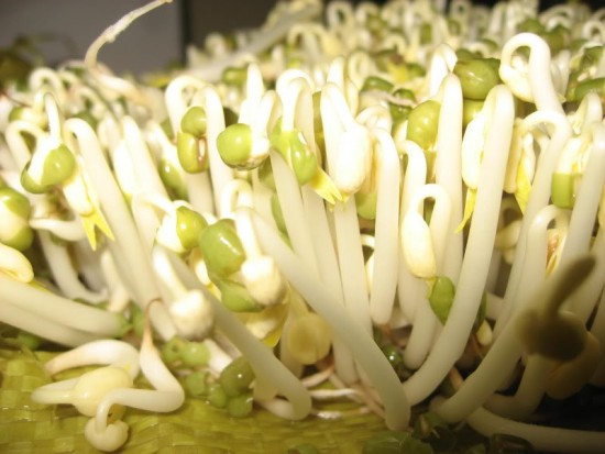 tac-dung-cua-gia-do-2