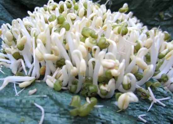 tac-dung-cua-gia-do-3