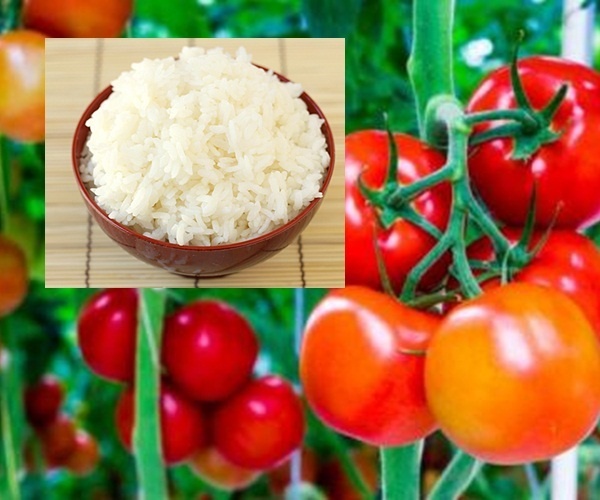 thuc-don-giam-can-nhanh-hieu-qua-trong-7-ngay-5