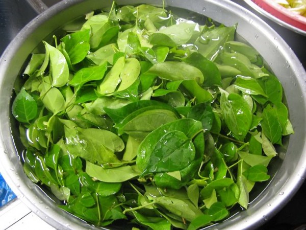 bi-quyet-nau-ga-la-giang-thom-ngon-don-gian-nhat1 bi-quyet-nau-ga-la-giang-thom-ngon-don-gian-nhat1