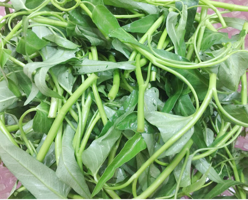 cach-nau-vit-nau-chao-thom-ngon-don-gian-nhat3